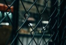 telecom integrity oversight network