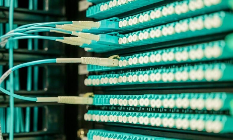 network growth professional services